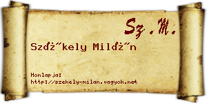 Székely Milán névjegykártya